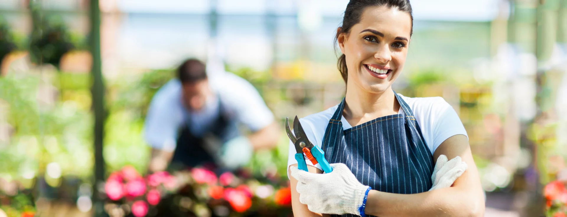 small business cropped