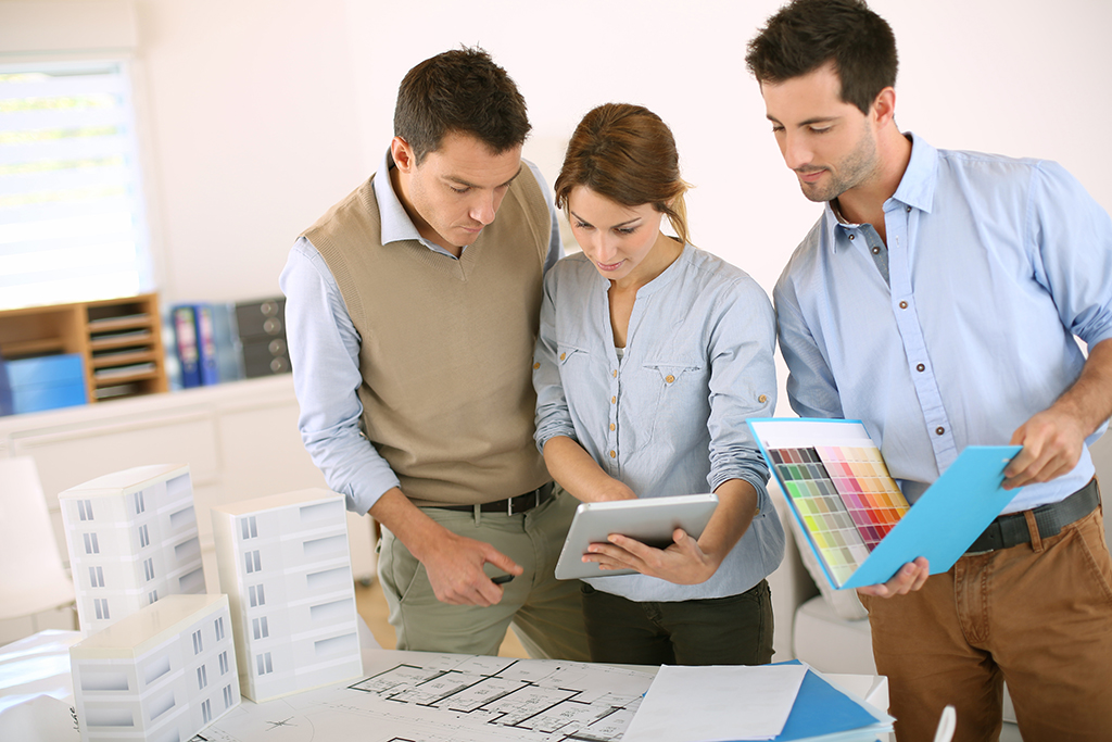 Architects and Engineers are having discussion