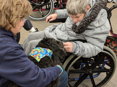 therapy dog